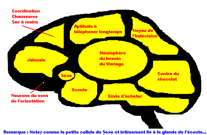 enkor lé femme